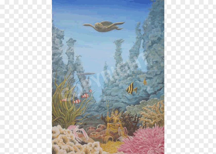 Sky Sea Coral Reef Marine Biology Wildlife Ecosystem Underwater PNG