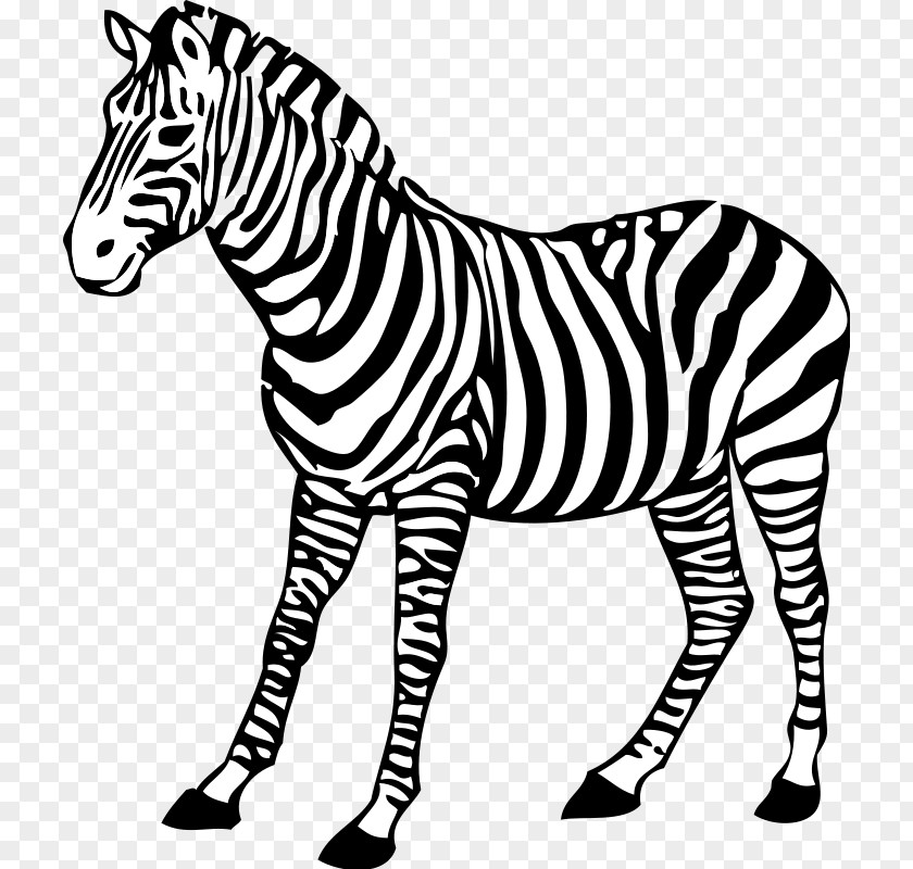 White Animals Cliparts Zebra Black And Clip Art PNG