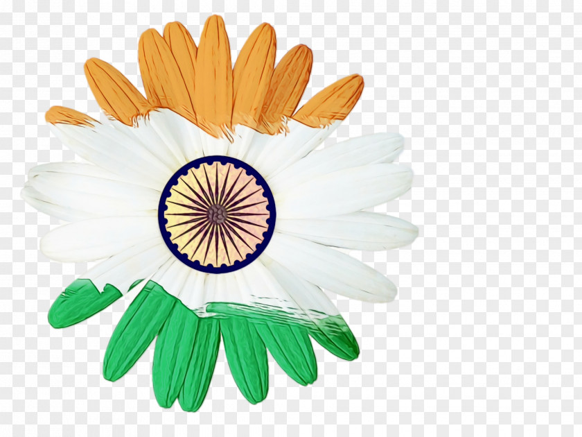 Wildflower Aster India Independence Day Flower Background PNG