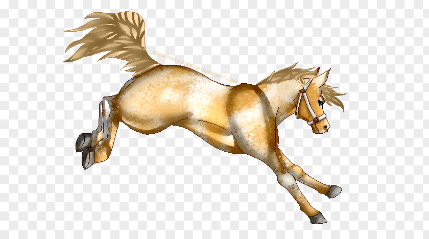 Bucking Horse Mane Mustang Pony Foal Stallion PNG