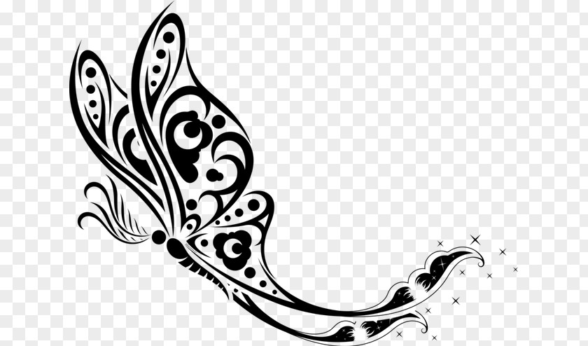 Butterfly Drawing Luna Moth Clip Art PNG