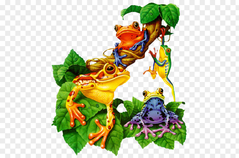 Frog Family Amphibian Morning PNG