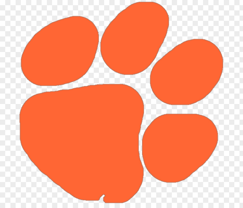 School Clemson University William Monroe High Brentsville District PNG