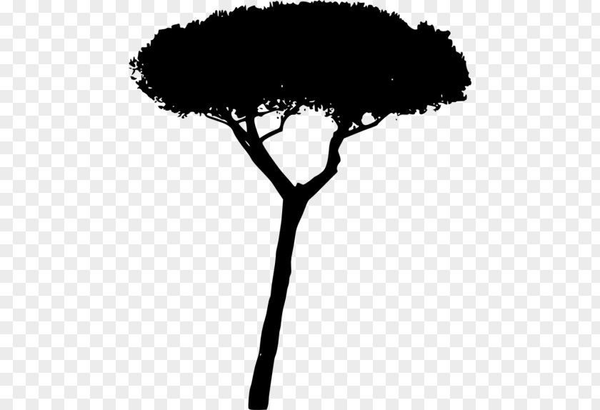 Silhouette Branch PNG