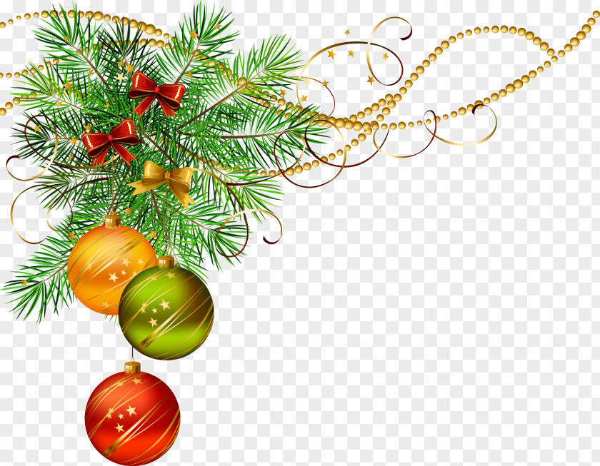 Christmas Vector Pine Clip Art PNG