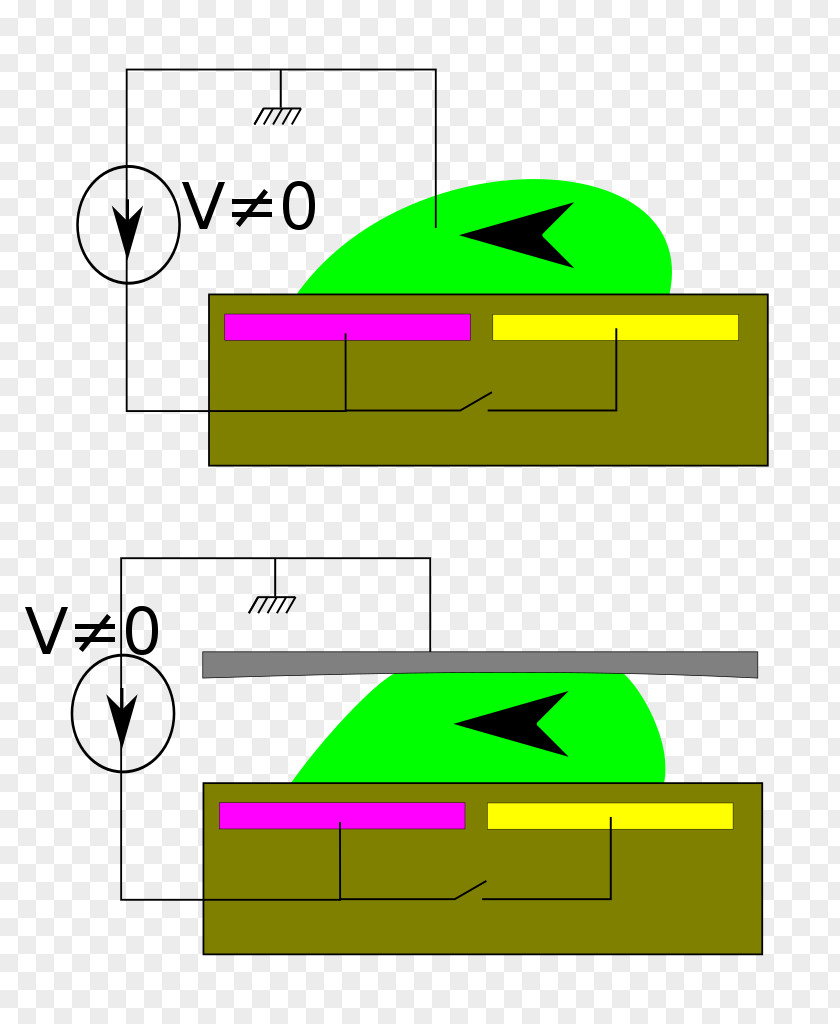 Design Product Green Clip Art PNG