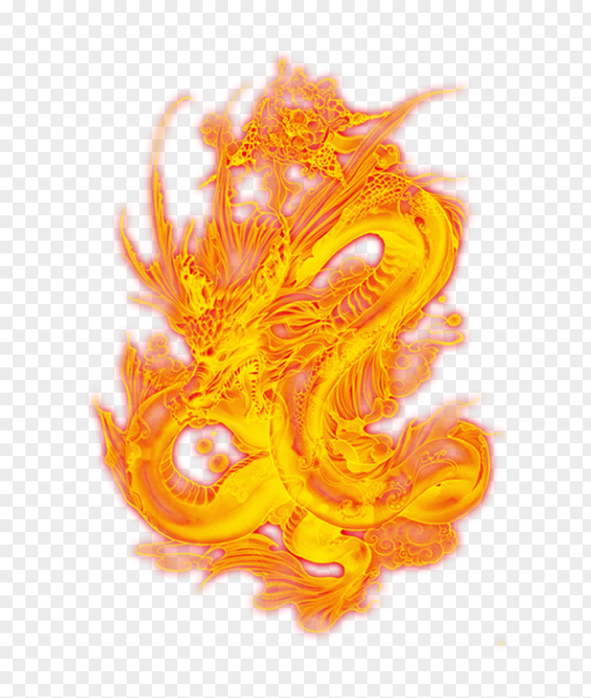 Dragon Fire Spewing Chinese China Flame Shenron PNG
