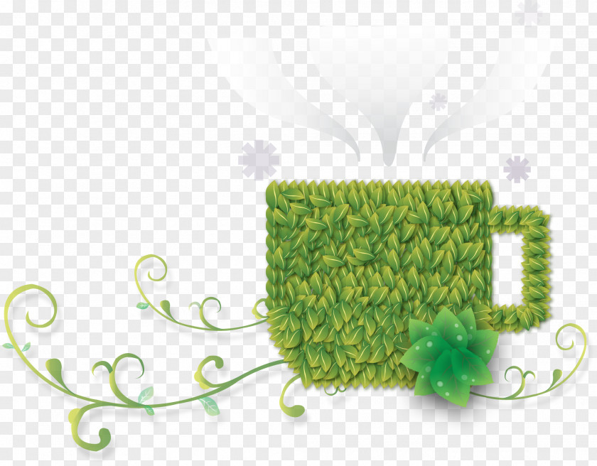 Green Cups Cup PNG