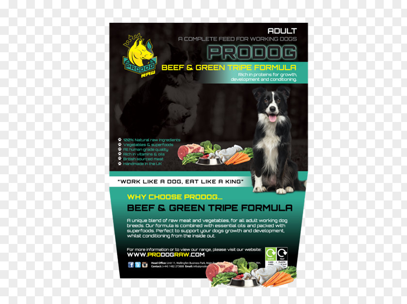 Raw Foodism ProDog Feeding Dog Food PNG