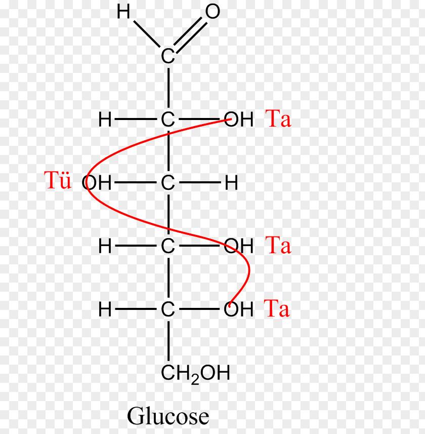 Sugar Aldose Glucose Galactose Ketose Fructose PNG