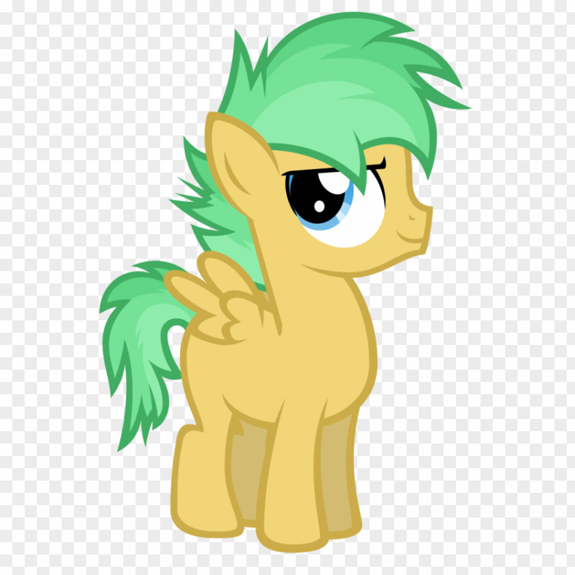 Colts My Little Pony Colt Foal Stallion PNG
