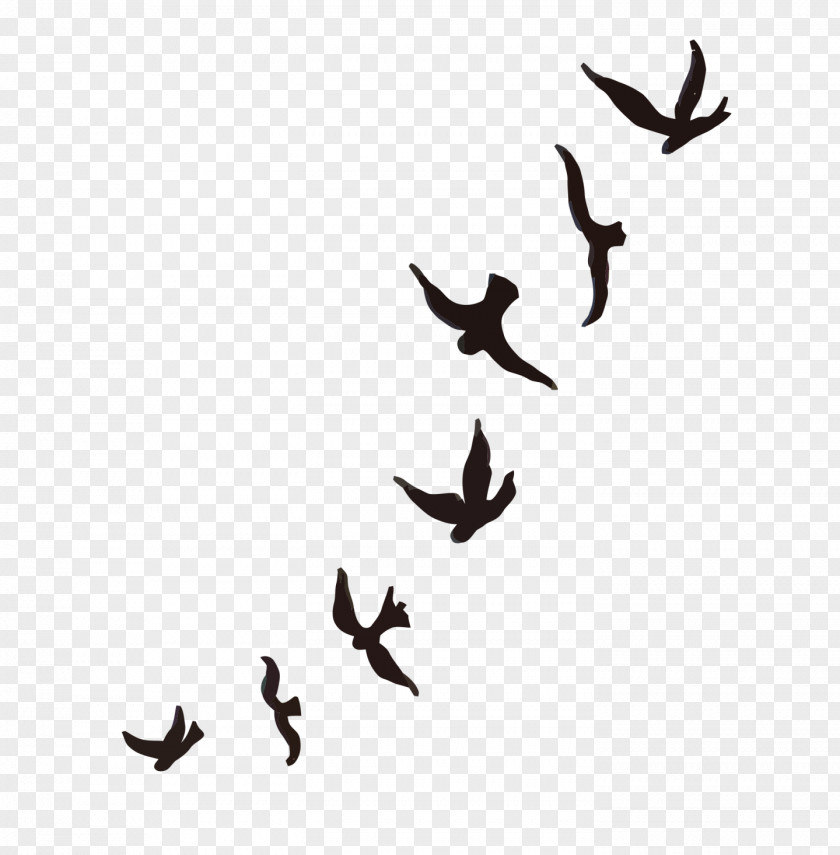 Flock Of Birds Mountain Bluebird Tattoo Sparrow Cygnini PNG
