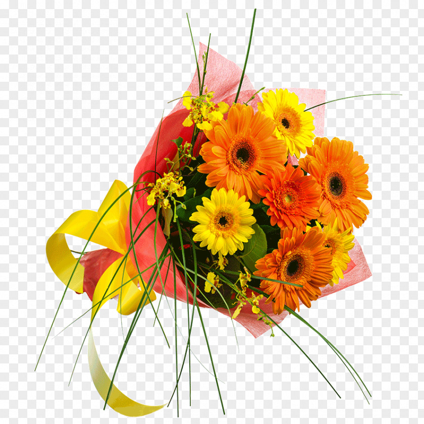 Footpath Among Flowers Transvaal Daisy Flower Bouquet Cut Yellow Chrysanthemum PNG