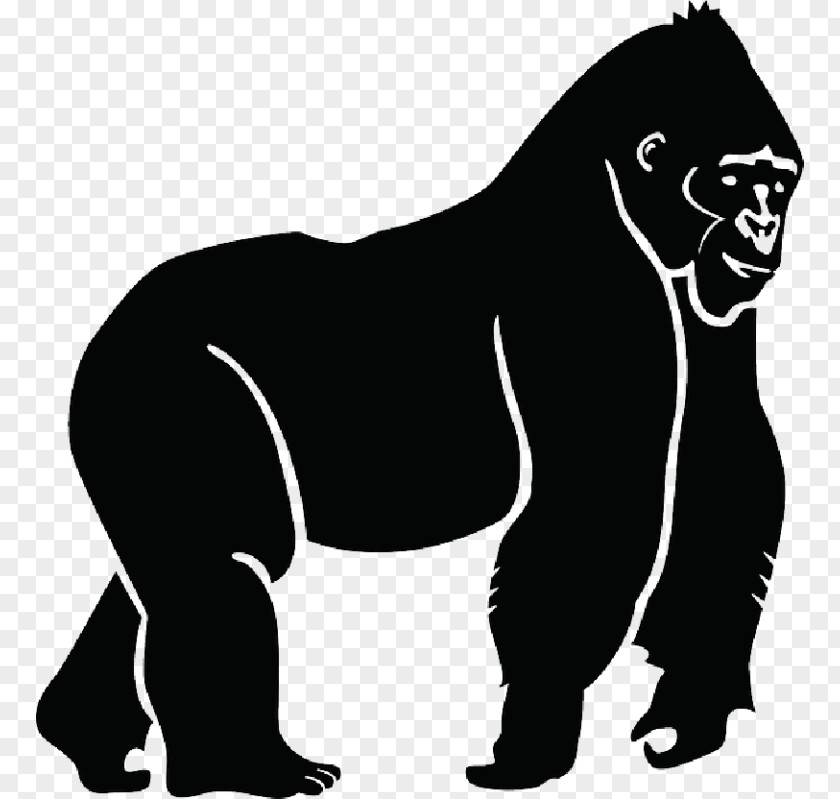 Gorilla Vector Graphics Clip Art Illustration Ape PNG