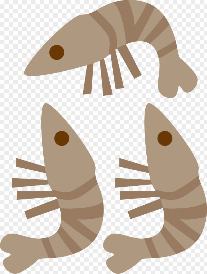Marine Shrimp Illustration PNG