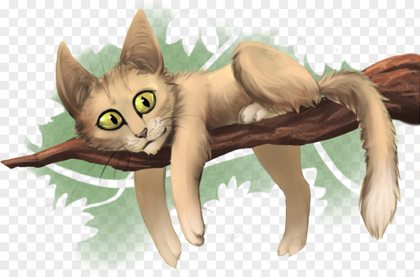 Red Cat Kitten Whiskers Paw PNG