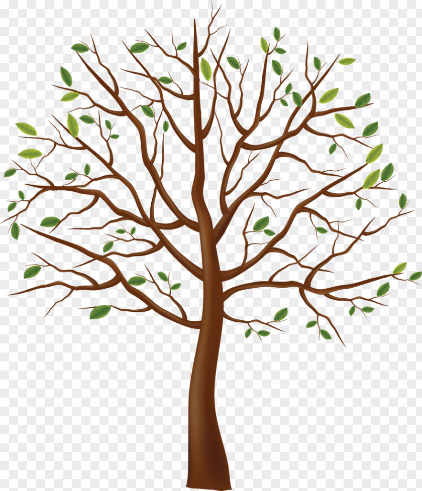 Tree Clip Art Branch Trunk PNG