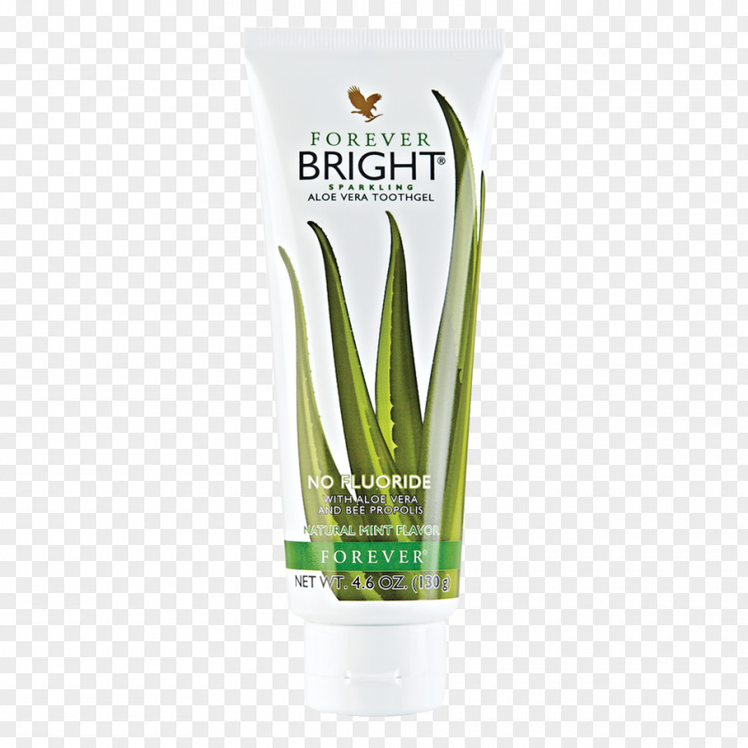 Aloe Vera Botanical Illustration Forever Living Products Gel Lotion Tooth PNG