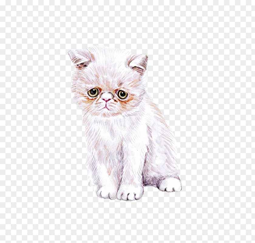 Hand Painted Watercolor Cute Cat Kitten Painting Cuteness PNG