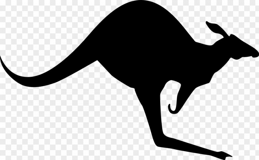 Kangaroo Pixabay Clip Art PNG