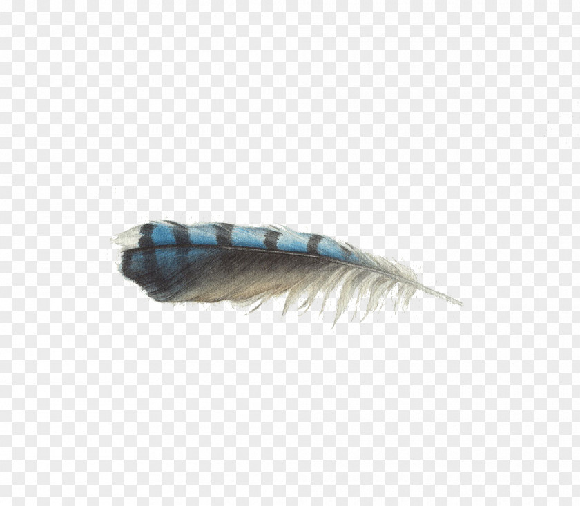 Light Feather PNG