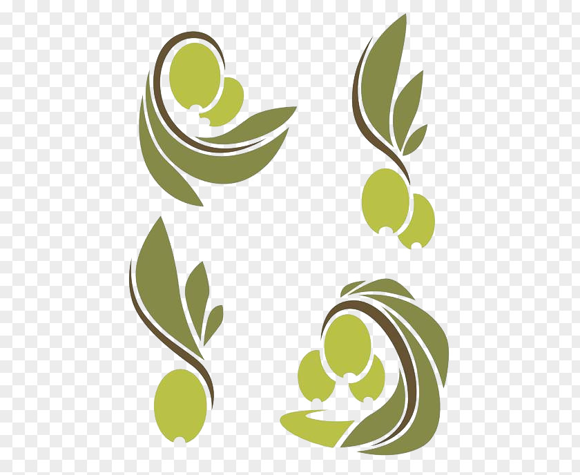 Olive Shading Oil Branch Leaf PNG