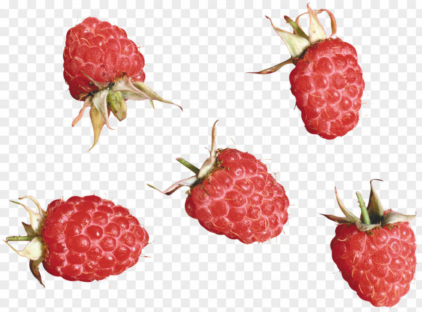 Rraspberry Image Raspberry PhotoScape PNG