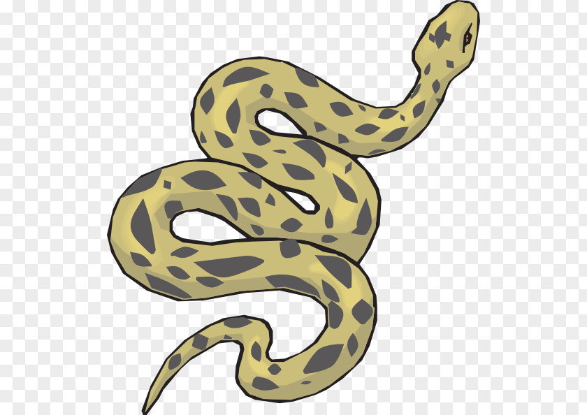 Serpent Pictures Snake Green Anaconda Clip Art PNG