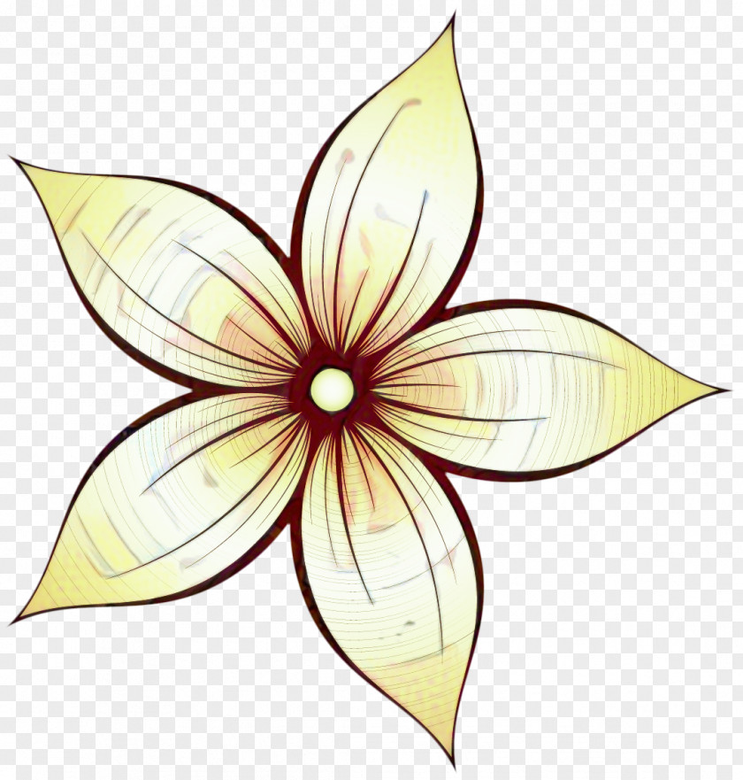 Symmetry Wildflower Flowers Background PNG
