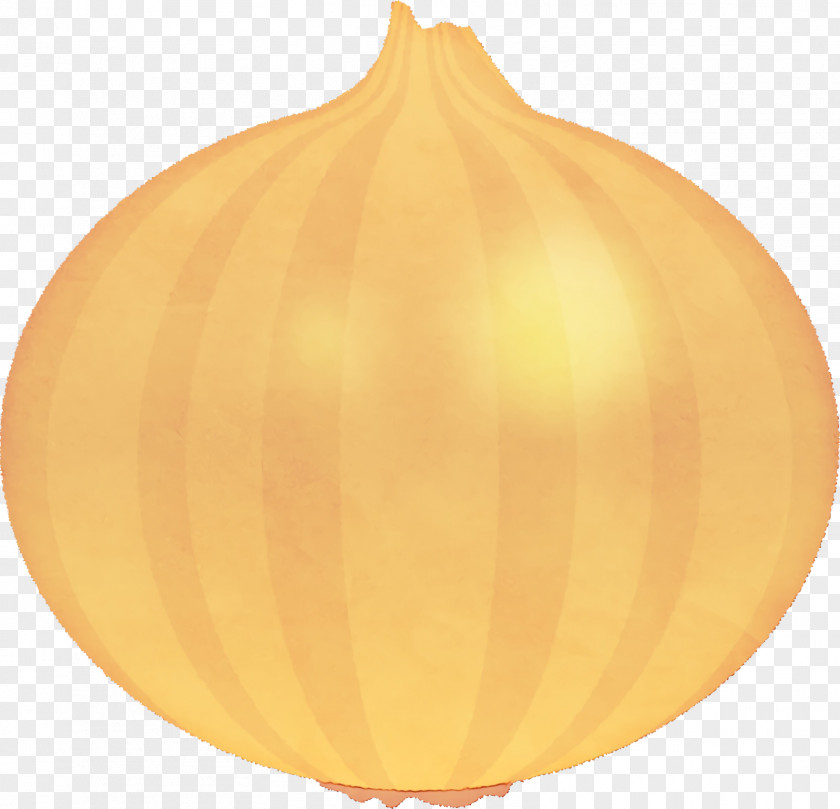 Yellow Onion Calabaza Squash Winter PNG