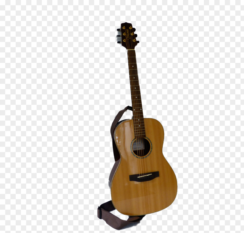 Acoustic Guitar Tiple Bass Cuatro Cavaquinho PNG