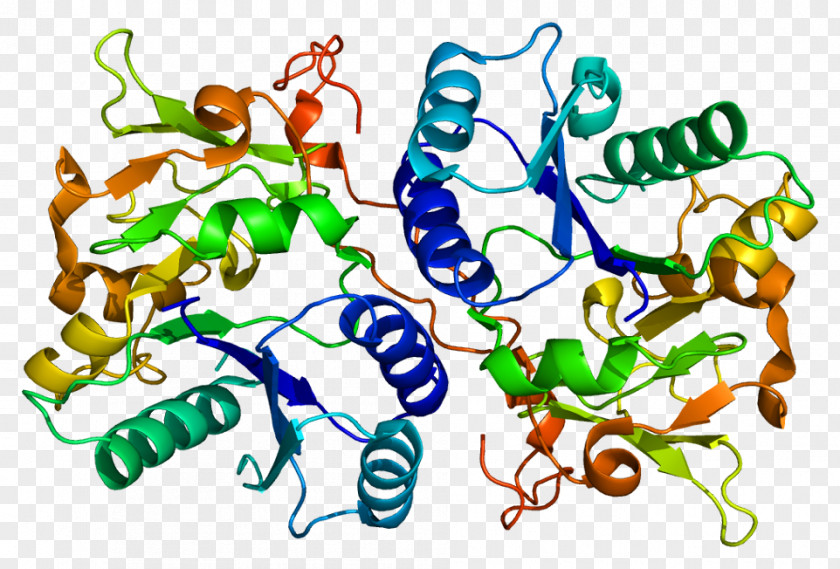 Carbohydrate Molecule Membrane B3GAT1 Protein Glucuronosyltransferase Cluster Of Differentiation Antigen PNG