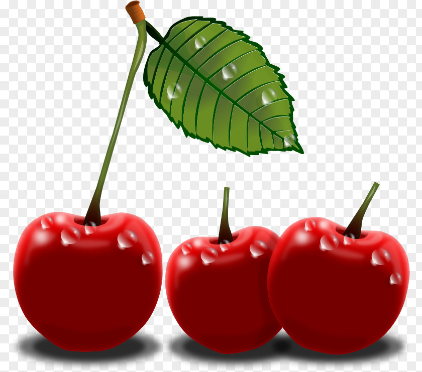 Cherries Cliparts Cherry Free Content Clip Art PNG