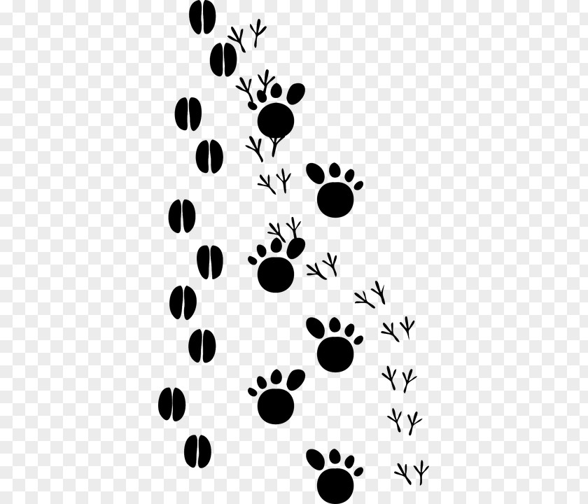 Dog Animal Track Footprint Paw Clip Art PNG