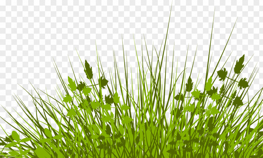 Grass Silhouette Royalty-free Clip Art PNG