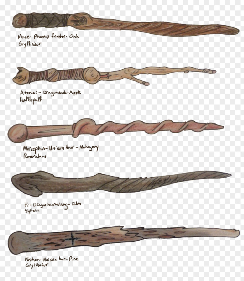 Harry Potter Wand Lord Voldemort Hermione Granger Art PNG