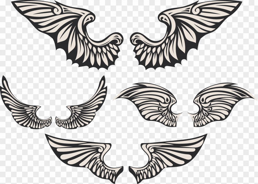 Creative Wings Angel Wing Creativity Feather PNG