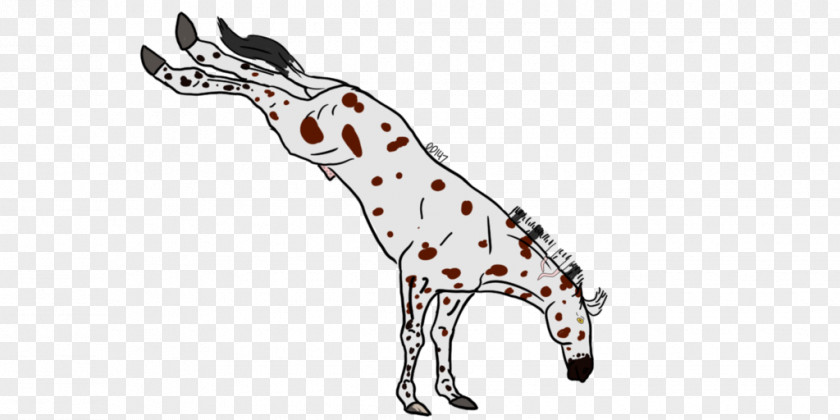 Dog Giraffe Cattle Horse Mammal PNG
