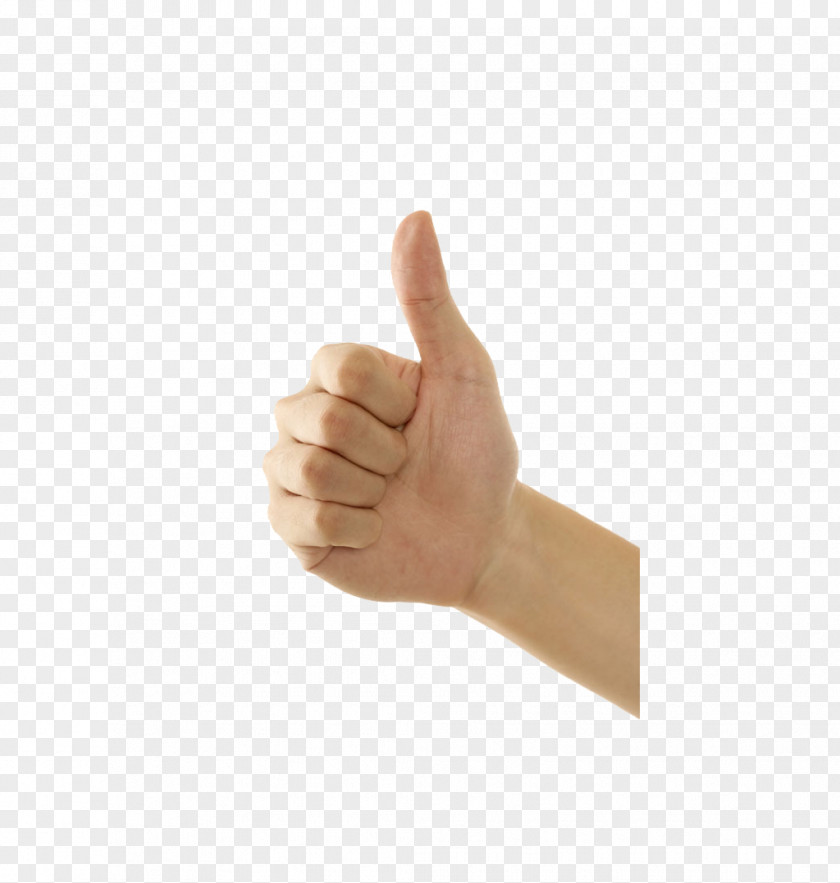 Like 3D Finger Thumb Digit PNG