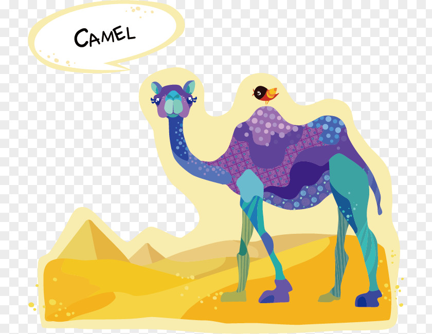 Camel Cartoons Dromedary Bactrian Drawing Cartoon PNG