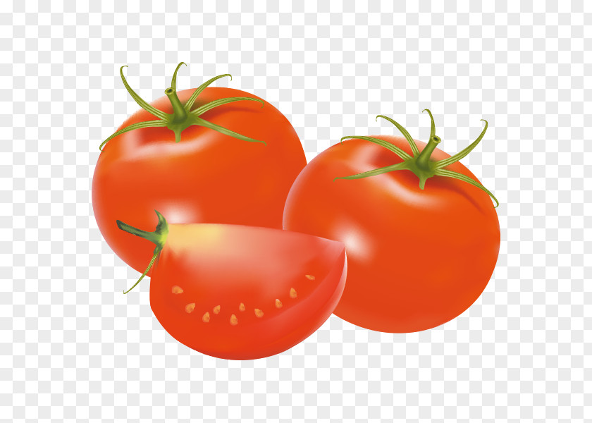 Cartoon Tomato Plum Welsh Onion Vegetarian Cuisine Food PNG