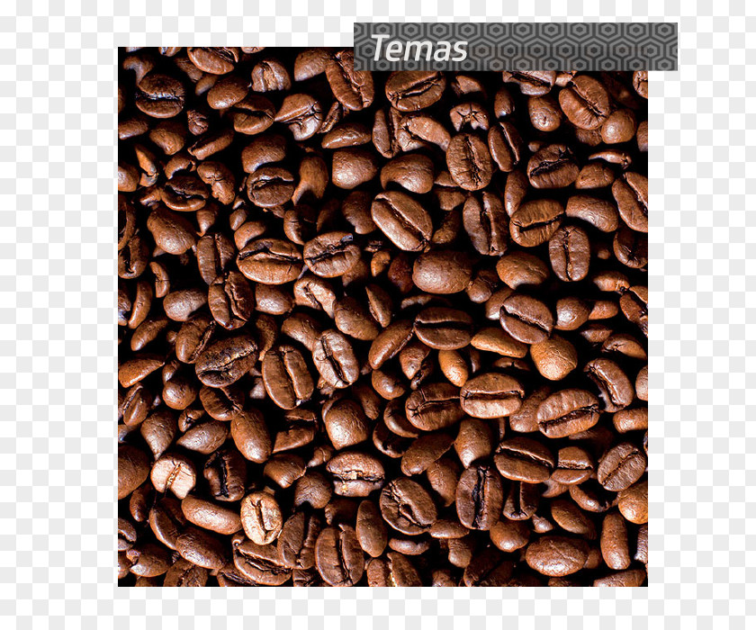 Coffee Wallpaper Mural Fototapet PNG