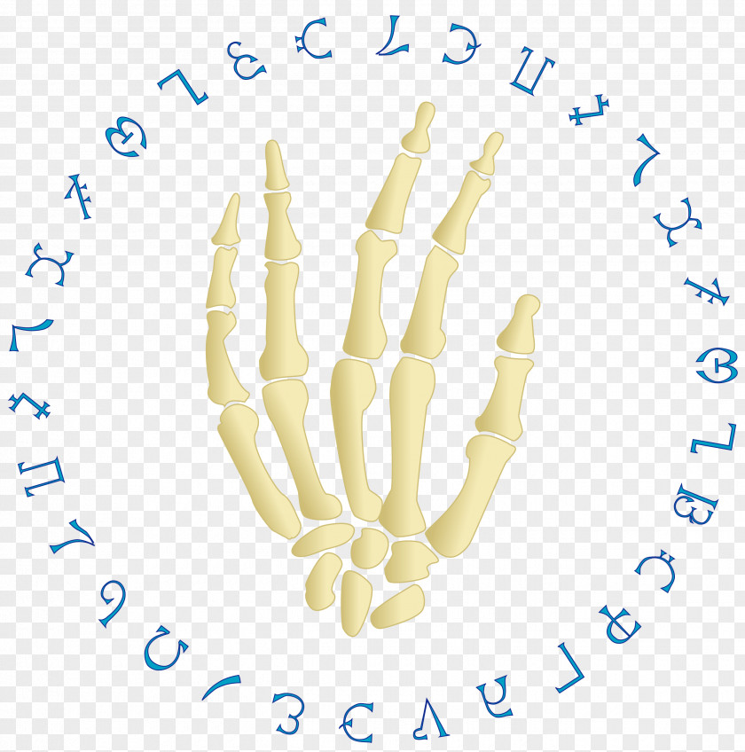 Departed Thumb Hand Model Line Point PNG