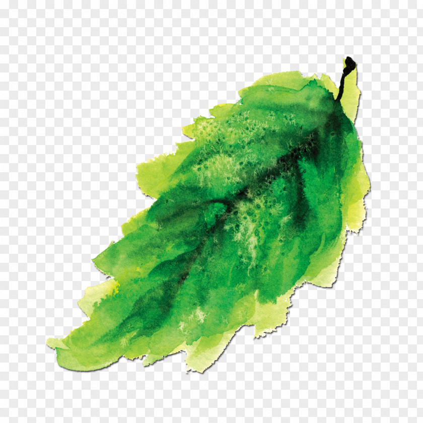 Ink Green Leaves Wash Painting Watercolor PNG