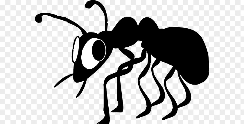 Insect The Black Ant Clip Art PNG