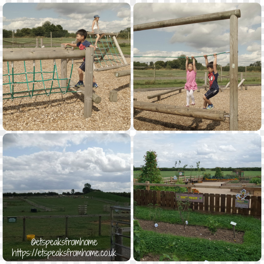 Play Area National Forest Adventure Farm Burton Upon Trent Park Public Space Playground PNG
