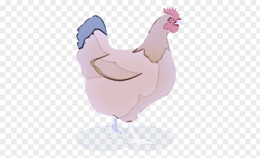 Beak Poultry Chicken Rooster Cartoon Bird Pink PNG
