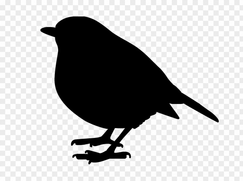 Bird Common Raven Art Image Silhouette PNG