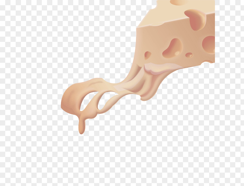 Dairy Bone Nose Skin Joint Ear Arm PNG