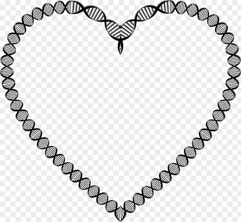 Heart A-DNA Nucleic Acid Double Helix PNG